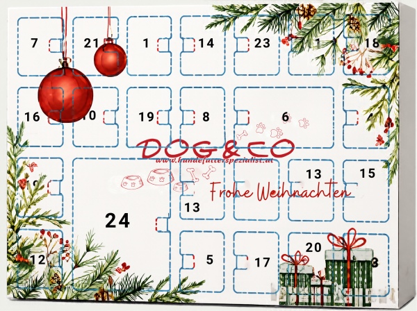 Dog & Co Adventskalender für Hunde